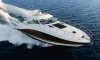 global one yacht sales